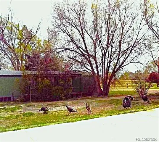 104 Rock Island Avenue Ramah, CO 80832