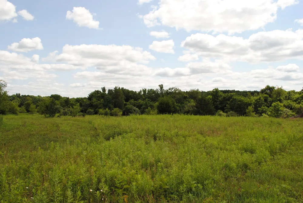 3173 Luna Drive Dexter, MI 48130