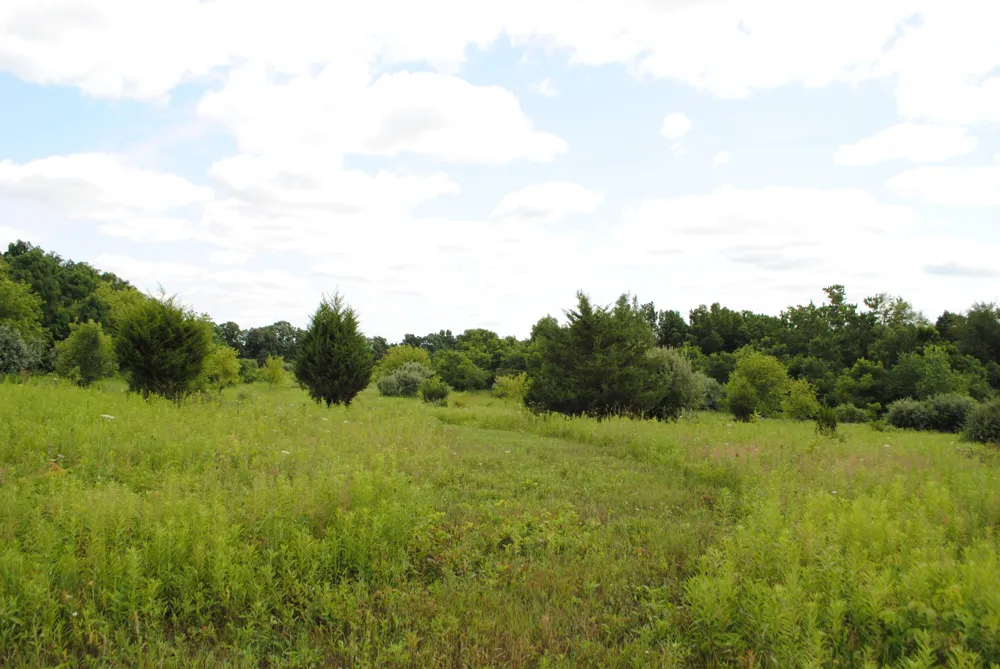 3173 Luna Drive Dexter, MI 48130