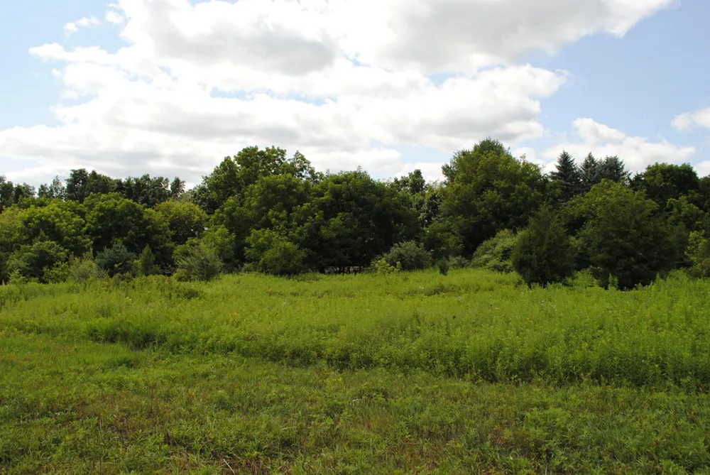 3199 Luna Drive Dexter, MI 48130