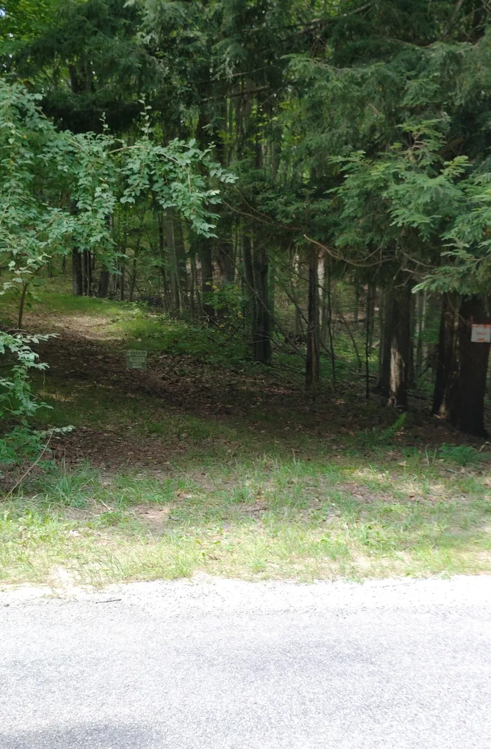 3 S Frank Smith Road Chase, MI 49623