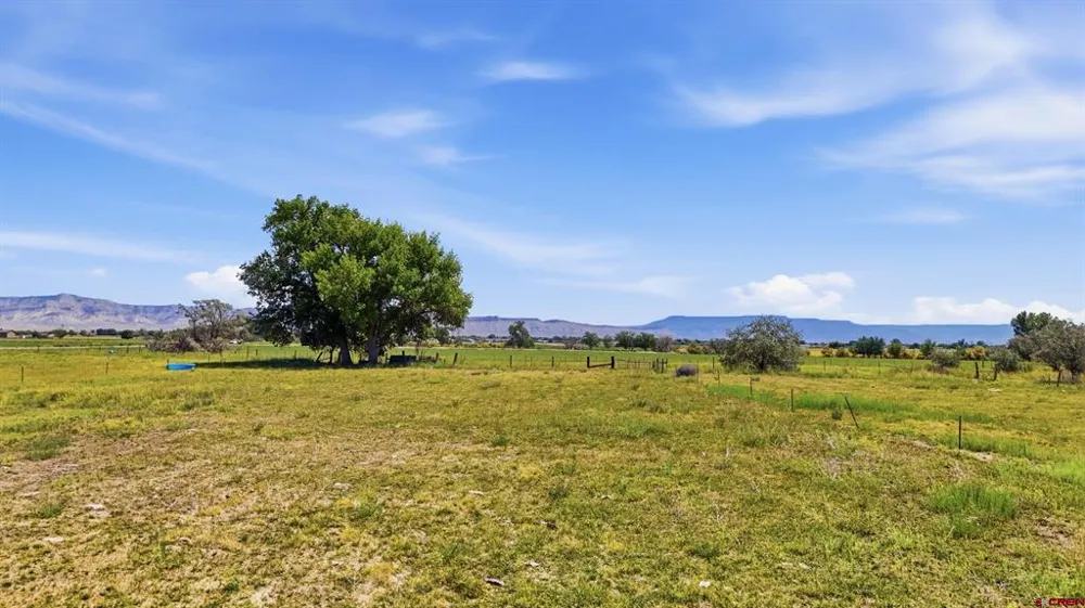 1130 20 ROAD Fruita, CO 81521