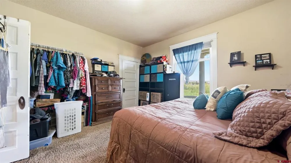 1130 20 ROAD Fruita, CO 81521