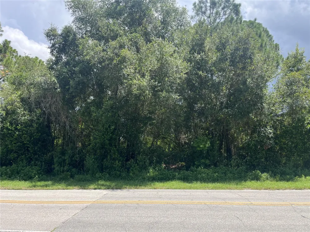 845 LARK COURT Deltona, FL 32725