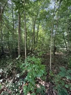 75 Sunset Bluff Way Monteagle, TN 37356