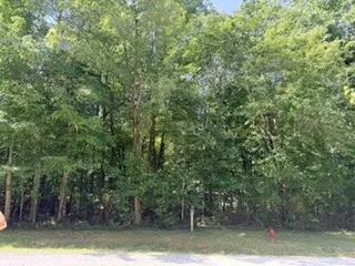 75 Sunset Bluff Way Monteagle, TN 37356