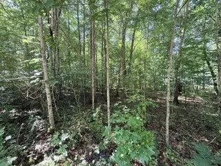 75 Sunset Bluff Way Monteagle, TN 37356