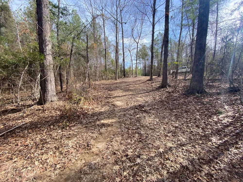 Tbd Poplar Ridge Lane Brookhaven, MS 39601