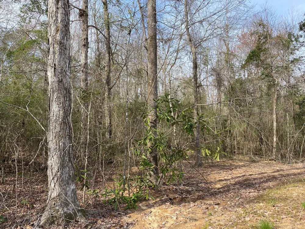 Tbd Poplar Ridge Lane Brookhaven, MS 39601