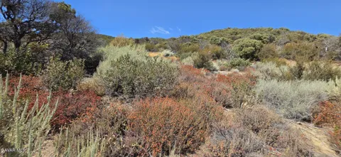 Lost Valley Ranch Road