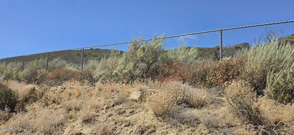 Lost Valley Ranch Road Leona Valley, CA 93551