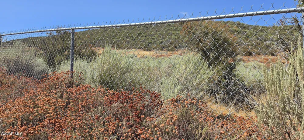 Lost Valley Ranch Road Leona Valley, CA 93551