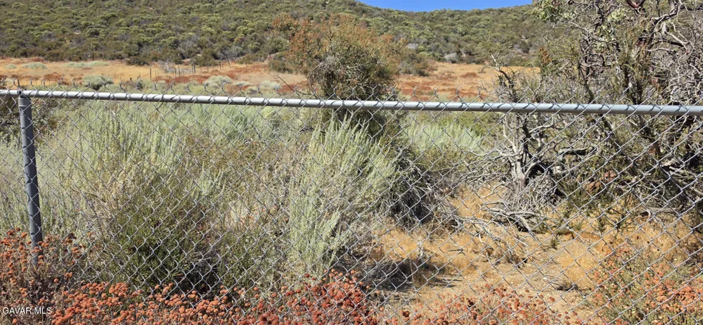 Lost Valley Ranch Road Leona Valley, CA 93551
