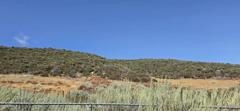 Lost Valley Ranch Road Leona Valley, CA 93551