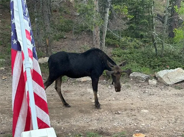 126 Signal Rock Road Golden, CO 80403