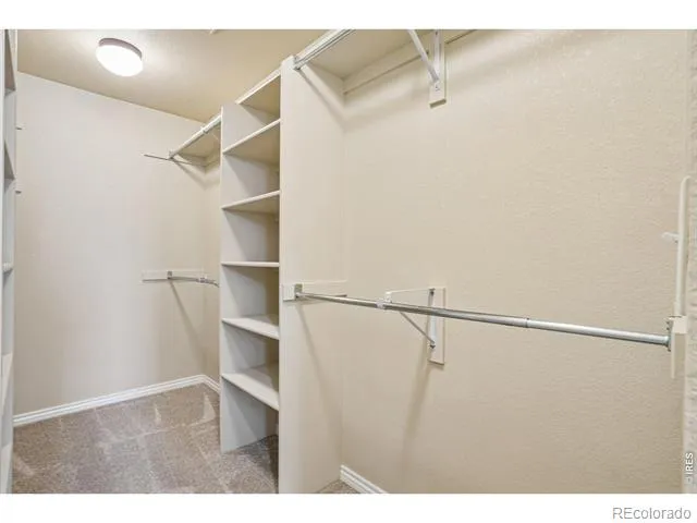 9073 Plainsman Drive Wellington, CO 80549
