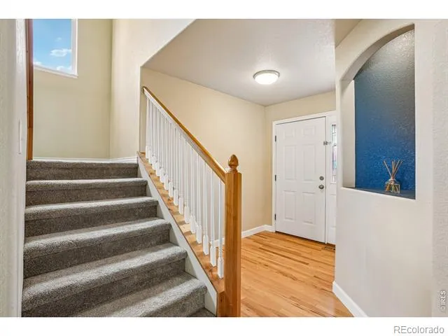 9073 Plainsman Drive Wellington, CO 80549