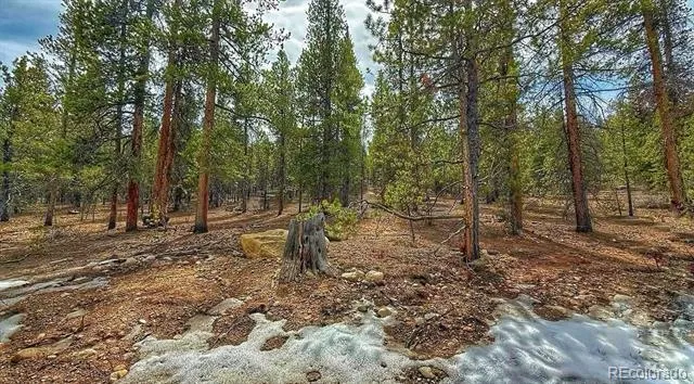 48 Mount Massive Road Twin Lakes, CO 81251