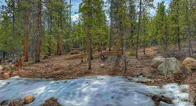48 Mount Massive Road Twin Lakes, CO 81251
