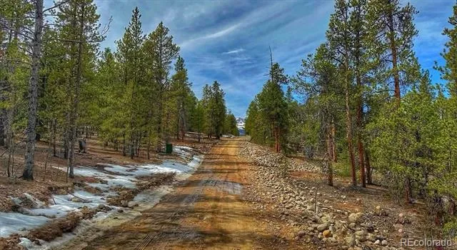 48 Mount Massive Road Twin Lakes, CO 81251