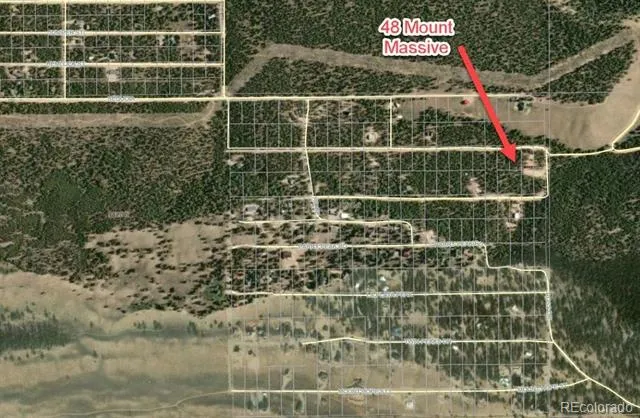 48 Mount Massive Road Twin Lakes, CO 81251