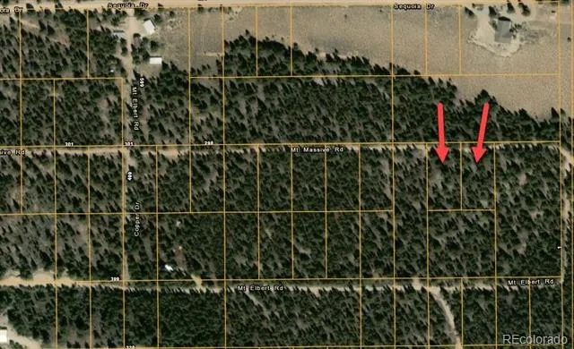 48 Mount Massive Road Twin Lakes, CO 81251