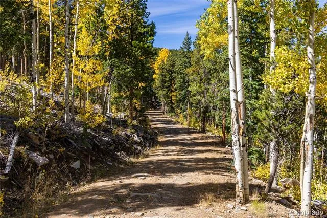 004 Seldom Seen Road Black Hawk, CO 80422