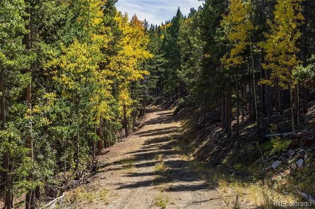 004 Seldom Seen Road Black Hawk, CO 80422