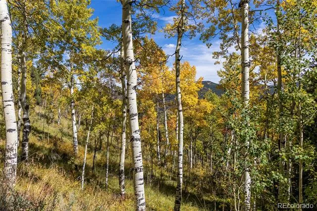 004 Seldom Seen Road Black Hawk, CO 80422