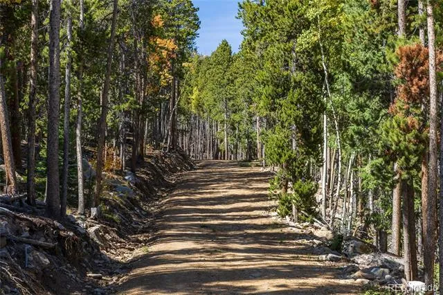 004 Seldom Seen Road Black Hawk, CO 80422