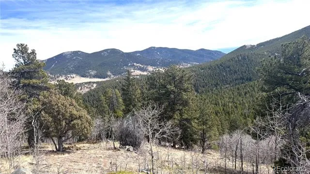 004 Seldom Seen Road Black Hawk, CO 80422