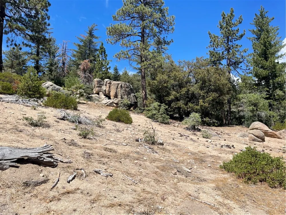 Arrowbear Running Springs, CA 92382