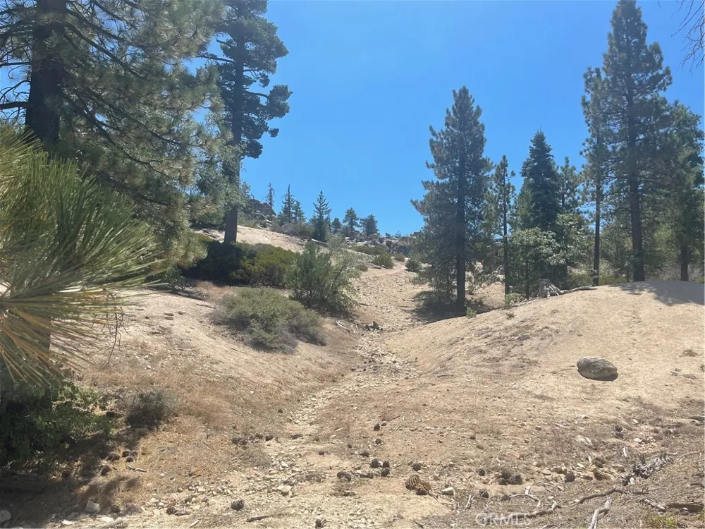 Arrowbear Running Springs, CA 92382