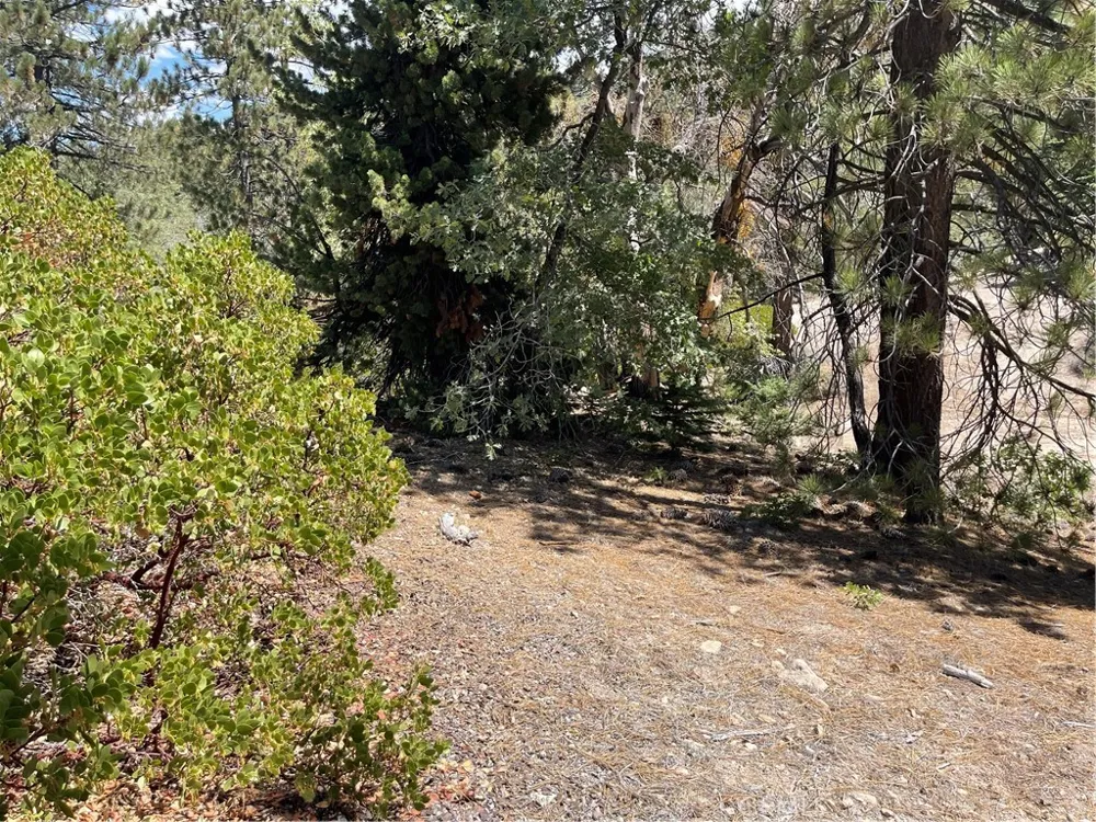 Arrowbear Running Springs, CA 92382