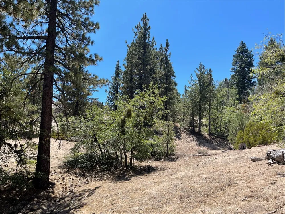 Arrowbear Running Springs, CA 92382