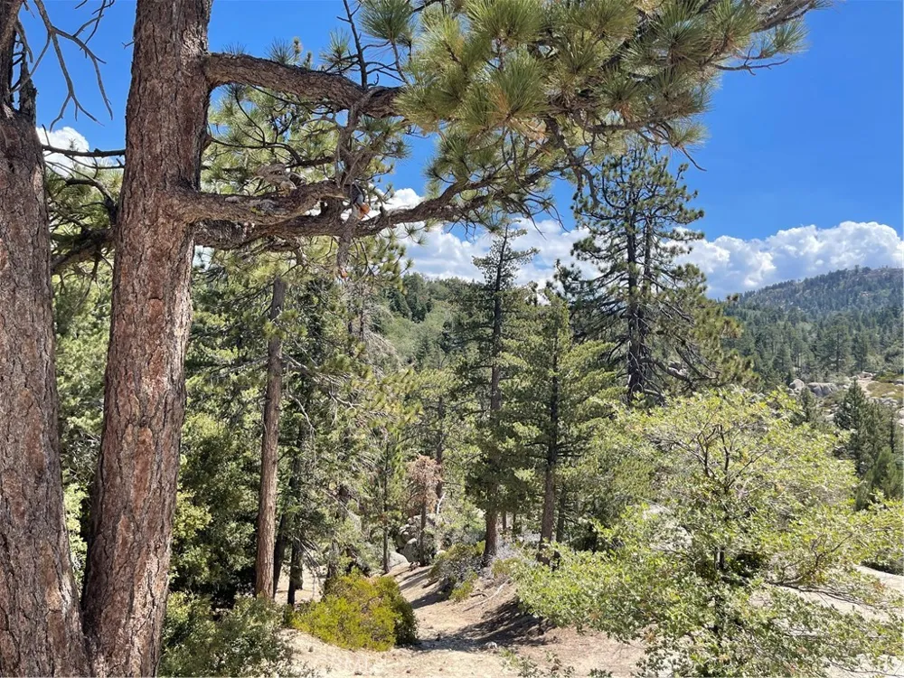 Arrowbear Running Springs, CA 92382