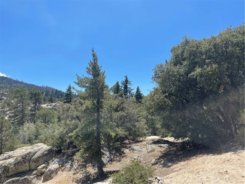 Arrowbear Running Springs, CA 92382
