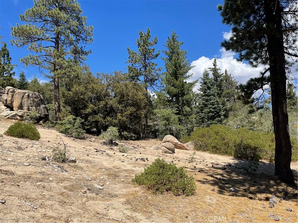 Arrowbear Running Springs, CA 92382