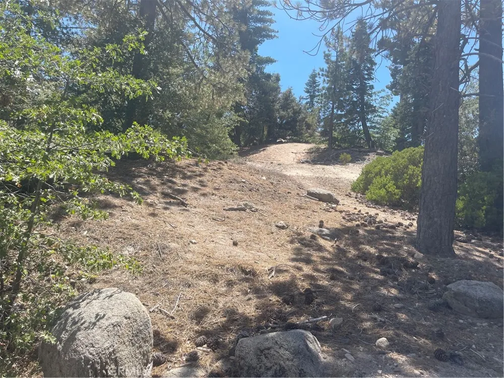 Arrowbear Running Springs, CA 92382