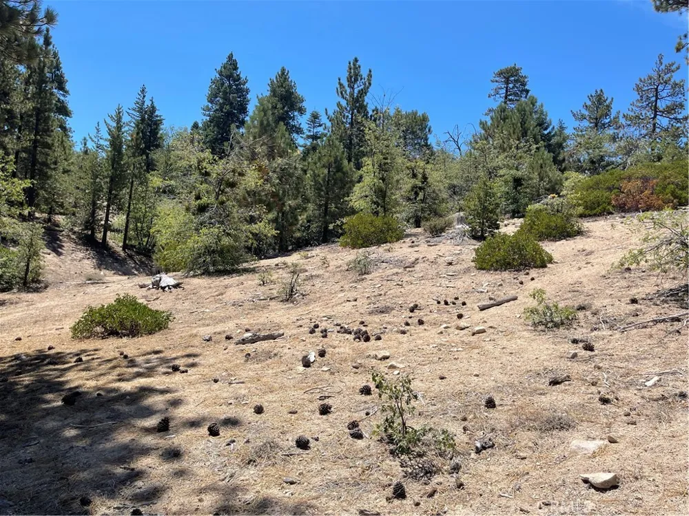 Arrowbear Running Springs, CA 92382
