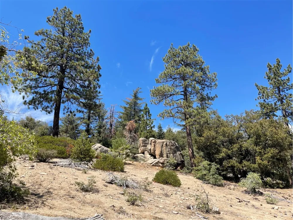 Arrowbear Running Springs, CA 92382
