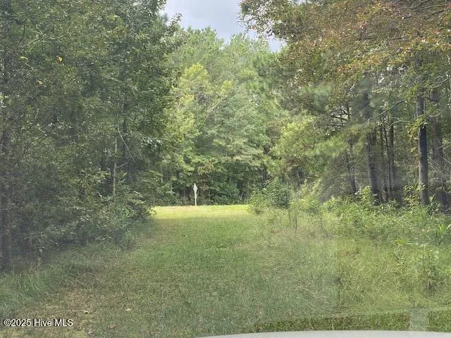8 Pine Crest Road Bath, NC 27808