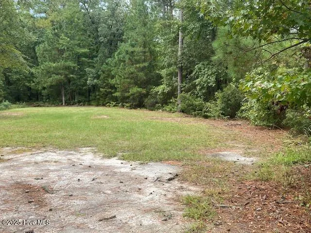 8 Pine Crest Road Bath, NC 27808