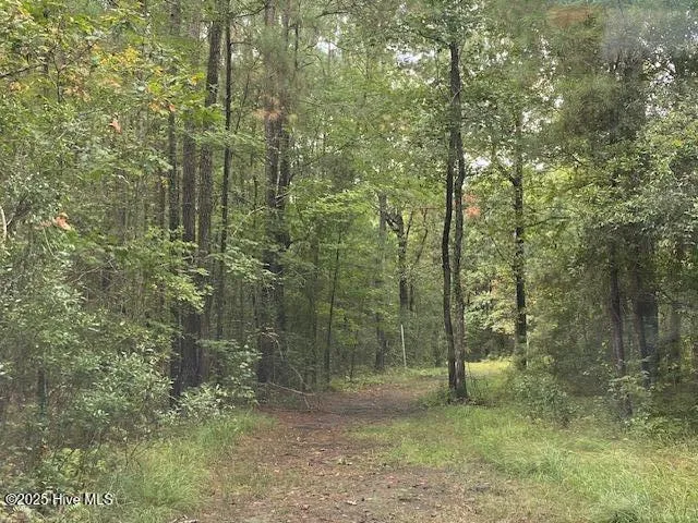 8 Pine Crest Road Bath, NC 27808