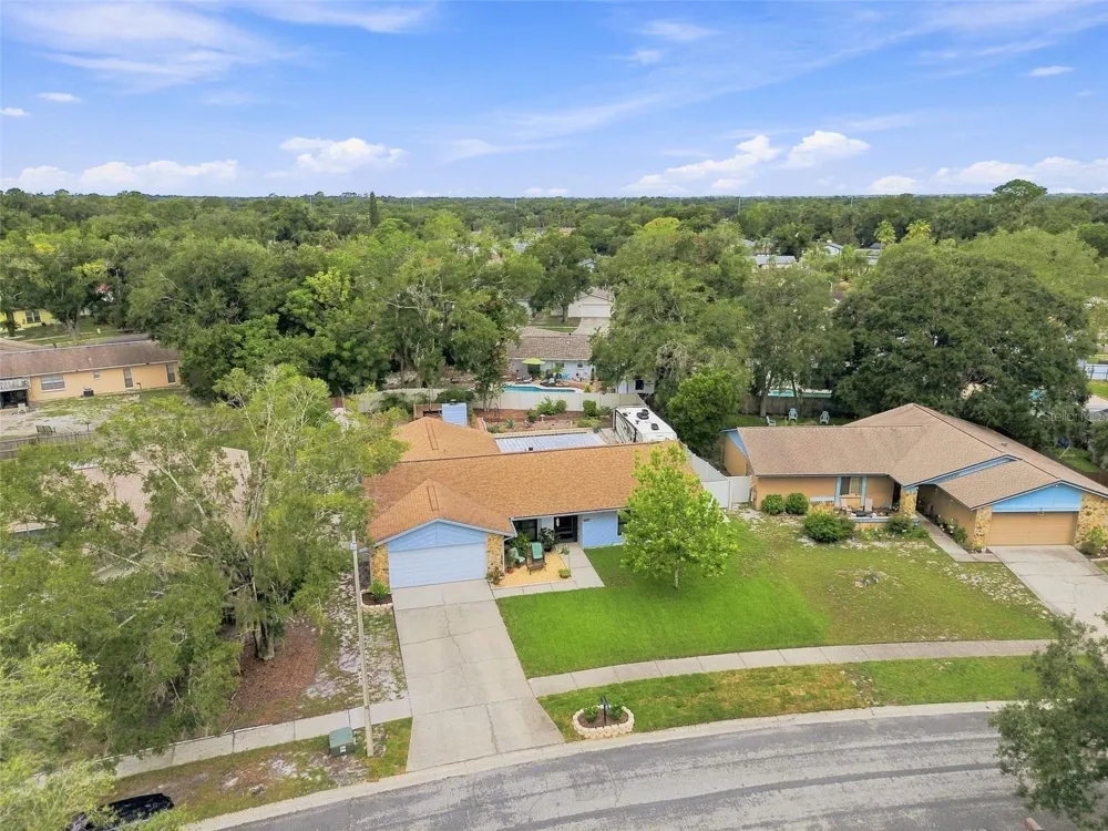 3721 SAND PEBBLE DRIVE Valrico, FL 33596
