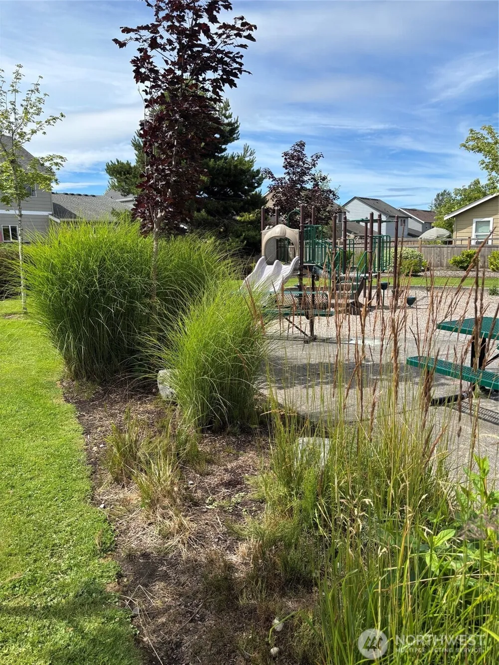 351 Tremont Avenue #102 Bellingham, WA 98226