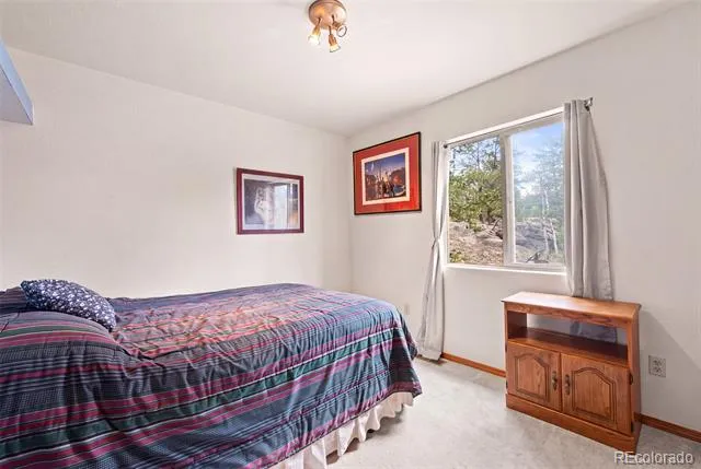 3943 CO Rd 403 Lake George, CO 80827