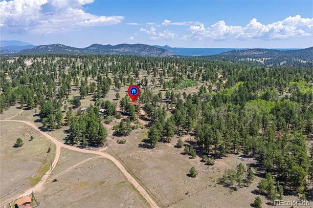 3943 CO Rd 403 Lake George, CO 80827