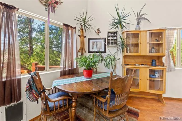 3943 CO Rd 403 Lake George, CO 80827