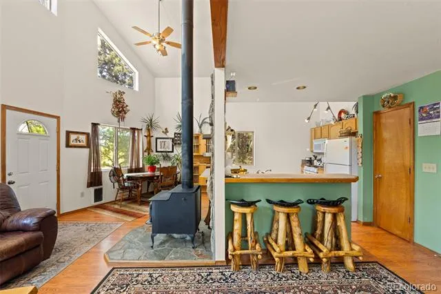 3943 CO Rd 403 Lake George, CO 80827